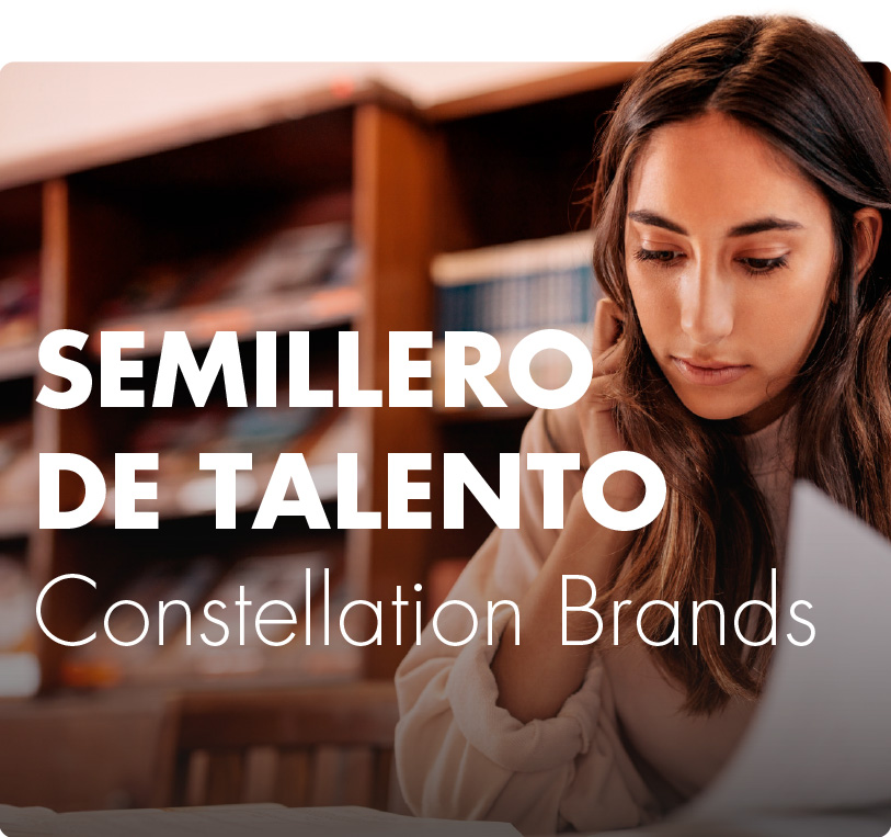 Semillero de talento